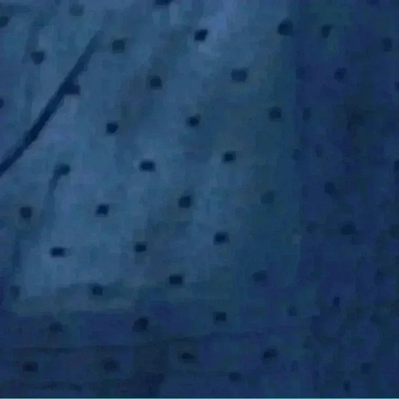 J.Crew Women’s Swiss Dot Tiered Flutter Sleeve Blouse - Picture 6 of 12